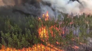 Fires won't stop burning. Is Australia not doing enough for Climate Change?