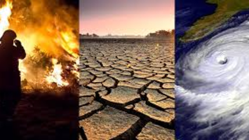 How often have you talked about climate change or environmental issues during the last few weeks?  