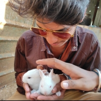 Sri Krishna adithya college of arts and sciences