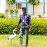 Lokesh