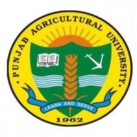 Punjab Agricultural University